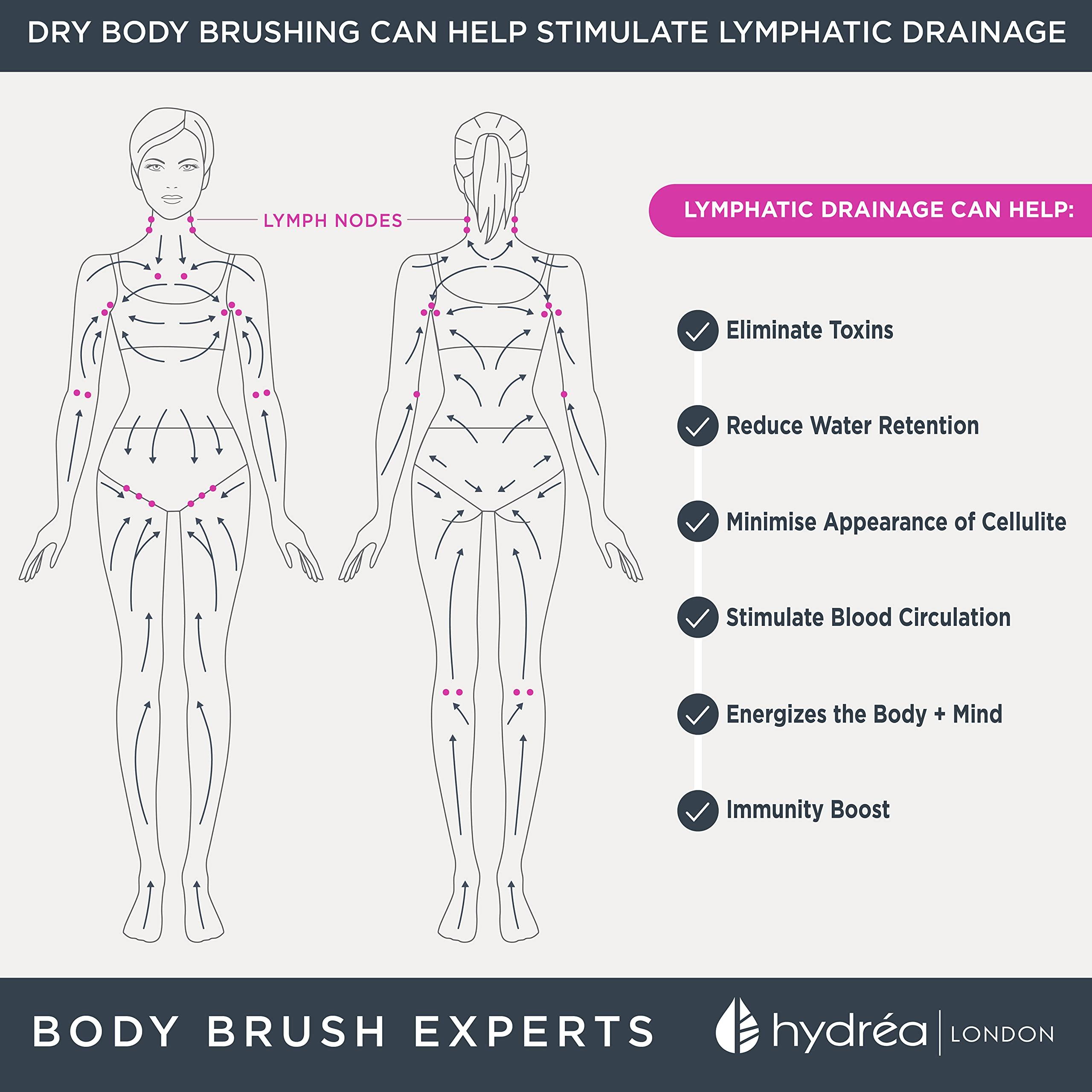 Hydrea London Hydrea London Body Brush  Long Handled Exfoliating Dry Skin Brush with Natural Bristle, Dry Brush Cellulite Remover, Helps Improve Lymphatic Drainage - FSC Certified Beechwood.