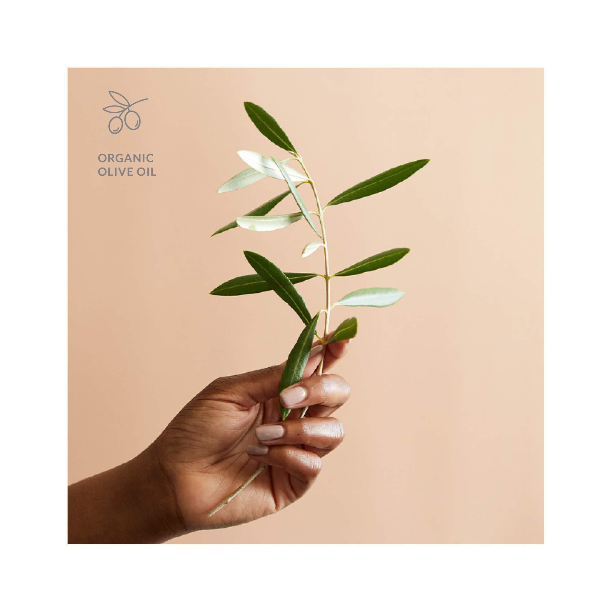 DHC DHC Deep Cleansing Oil, 4.1 Fl Oz