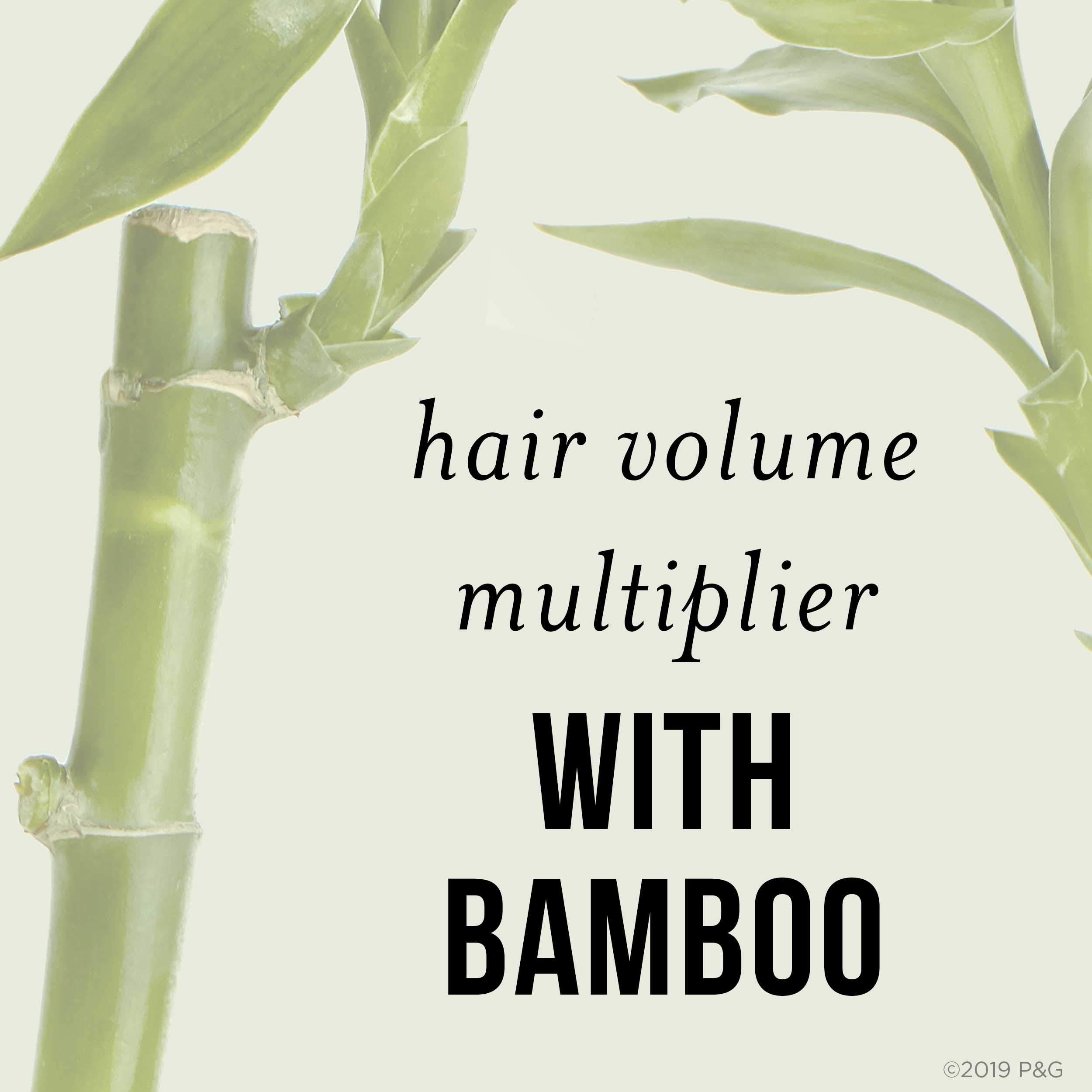Pantene Pantene Nutrient Blends Bamboo Hair Volume Multiplier Silicone Free Shampoo For Fine, Thin Hair, 9.6 Fl oz, 2.583 Fl oz
