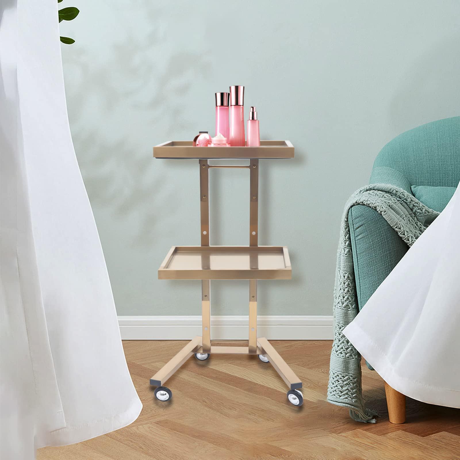 EurHomePlus Salon Tray on Wheels with 2 Tiers, Tattoo Shop Collapsible Utility Carts Stainless Steel Salon Storage Stand, Foldable Gold/Silver Organizer with Wheels (Gold)