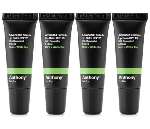 Anthony Anthony 25 SPF Lip Balm with Sunscreen for Lips – Contains Green Tea Extract, Shea Butter & Vitamin E – Moisturizing Repair Care Treatment for Chapped & Dry Lips 4-Pack