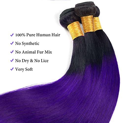 muaowig Purple Human Hair Bundles Ombre Hair Bundles Tow Tone Black to Purple Hair Extensions For Women Brazilian Remy Hair Bundles Purple Bundle 26 28 30 inch