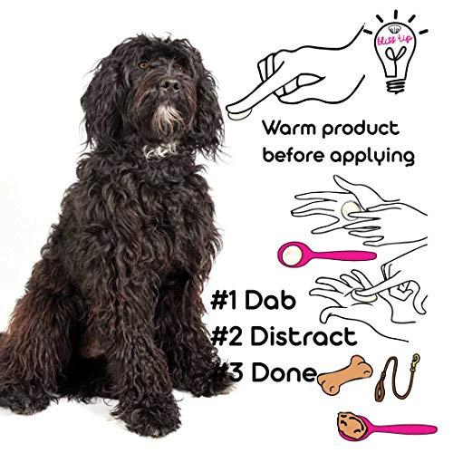 The Blissful Dog The Blissful Dog Tibetan Terrier Unscented Nose Butter - Dog Nose Butter, 0.15 Ounce