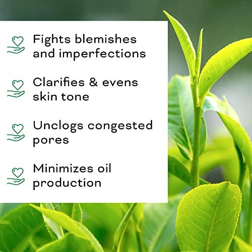 Beauty Foundry Beauty Foundry Clarifying Tea Tree Facial Oil, Targets Acne and Uneven Skin Tone, Antioxidant-Rich Beauty Oil, 1-fl oz/30ml (1 Pack)