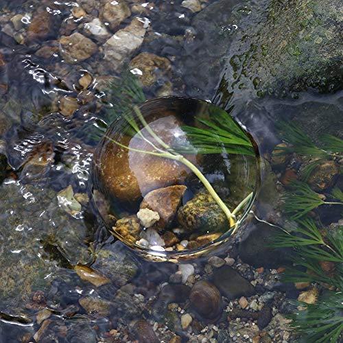 Zerodis 6X Optical Magnifier Dome, Portable Acrylic Dome Half Ball Lens for Reading Books Map Newspapers