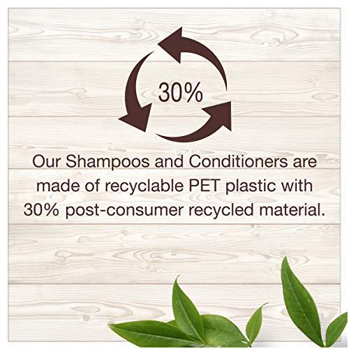 Garnier Garnier Hair Care Whole Blends Strengthening Ginger Recovery Shampoo, 12.5 Fluid Ounce