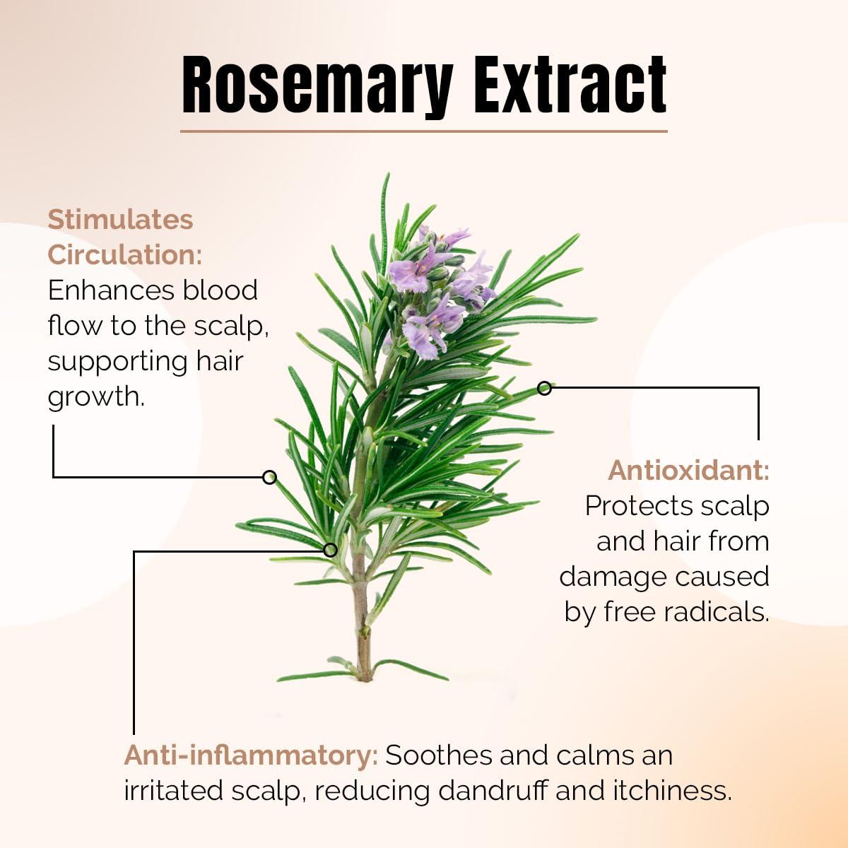 WETHRIVV REVIVV Exfoliating Scalp Scrub Shampoo, Himalayan Salt Scrub to Cleanse Scalp, Exfoliator with Rosemary & Tea Tree Oil to Remove Buildup, Reduce Flaking and Promote Healthier, Fuller Hair, 6.7oz