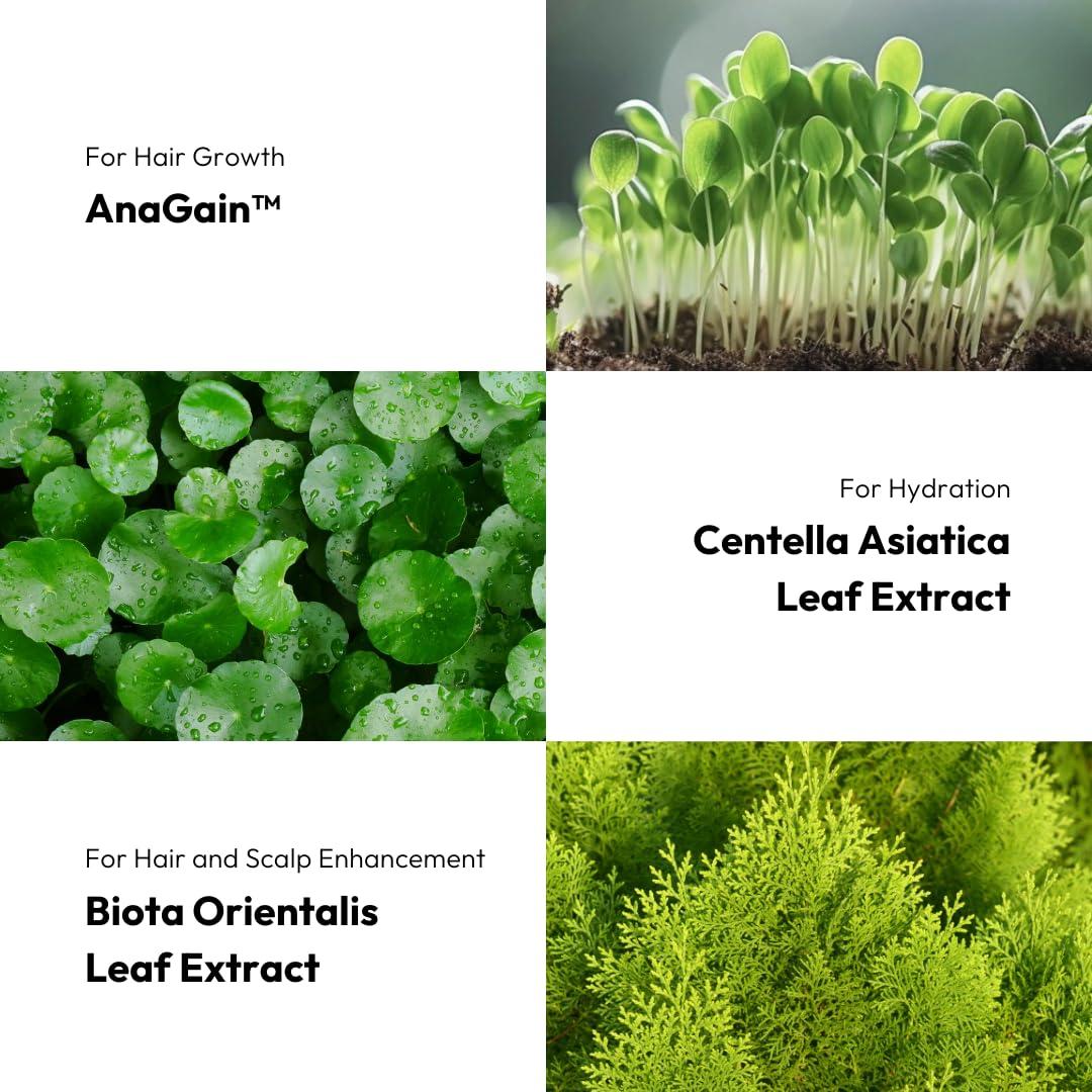 BIGVITA BIGVITA Scalp Serum + | Scalp Massager Applicator for Thicker, Fuller Hair | Hair Growth, Dry Scalp Relief | Biotin, AnaGain, Centella & Natural Leaf Extracts | Soothes Itchy, Flaky Scalp