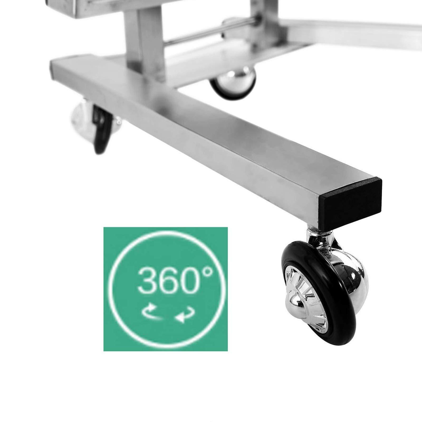 FLEAGE FLEAGE Professional Service Trolley Salon Tray Beauty Trolley, Stainless Steel Rolling Tool Cart with Double Trays, Used in Beauty Salons, Tattoos,Gold (Color : Silver)