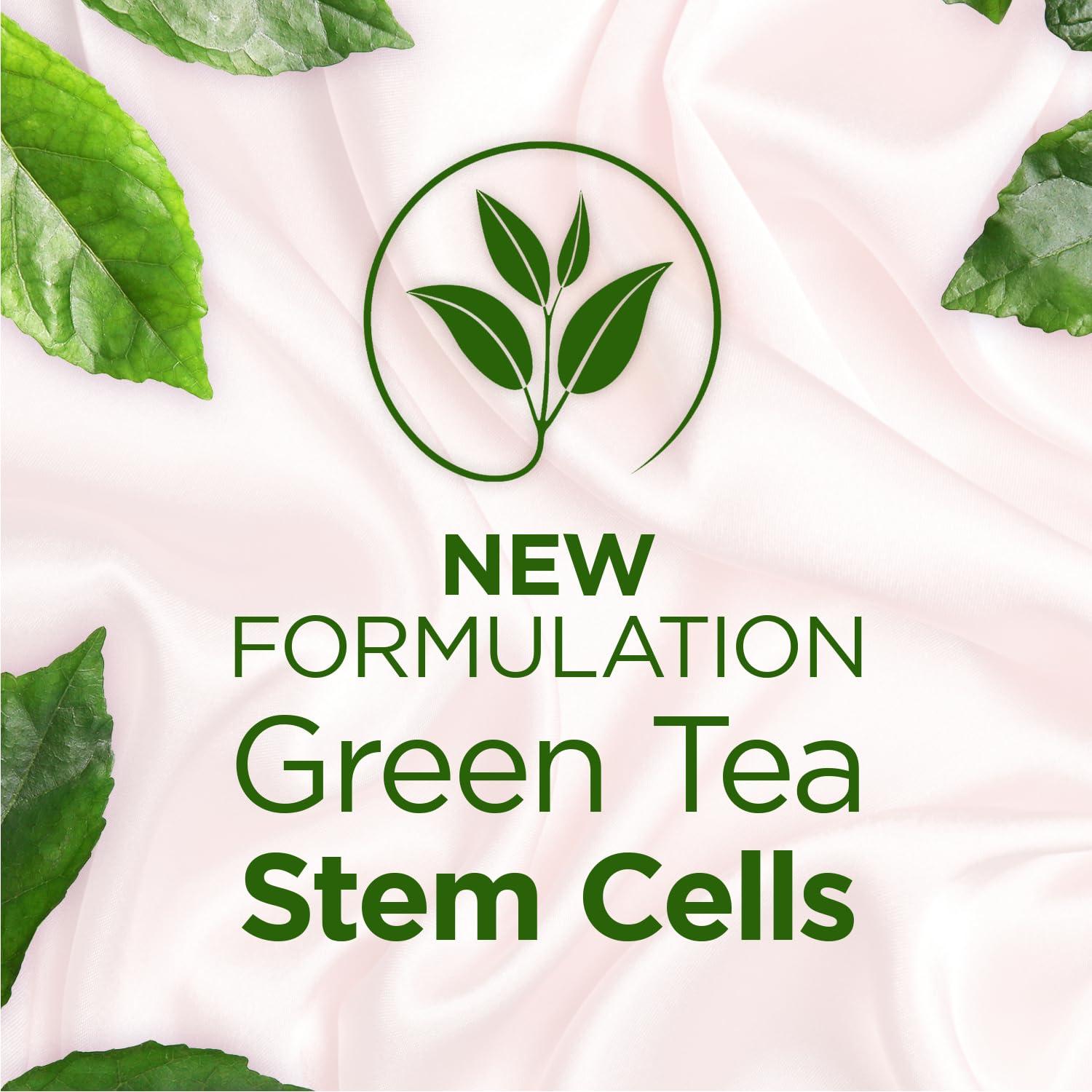 TEATRICAL TEATRICAL Anti Wrinkle Face Cream, Face Moisturizer Infused with Green Tea Stem Cells, Helps Reduce Fine Line & Wrinkles, Face Cream for Women, Floral Scent, 7 oz (Pack of 2)