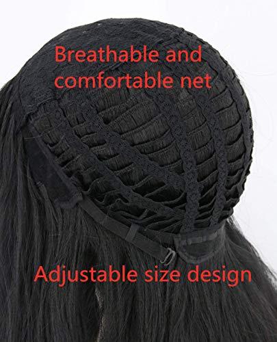 Coraline Coraline Long Black Wig Long Straight Middle Part Black Parting Halloween Costume Cosplay and Daily Wig (black)