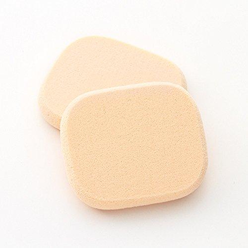 Chasty Chasty High-density Moist whip sponge compact type 2 pieces