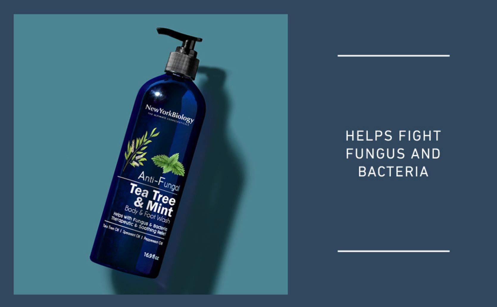 NEW YORK BIOLOGY THE ULTIMATE COSMECEUTICALS New York Biology Tea Tree Body Wash with Tea Tree Mint Body Wash for Men and Women - Helps Jock Itch & Itchy Skin, Nail Fungus, Athletes Foot, Eczema & Body Odor, Ringworms – 16 Fl Oz