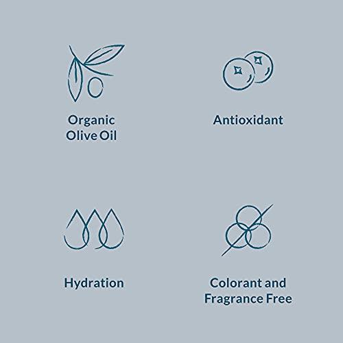 DHC DHC Mild Foaming Face Wash, 3.5 oz