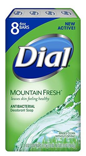 Dial Dial Antibacterial Bar Soap, Refresh & Renew, Mountain Fresh, 4 oz, 8 Bars