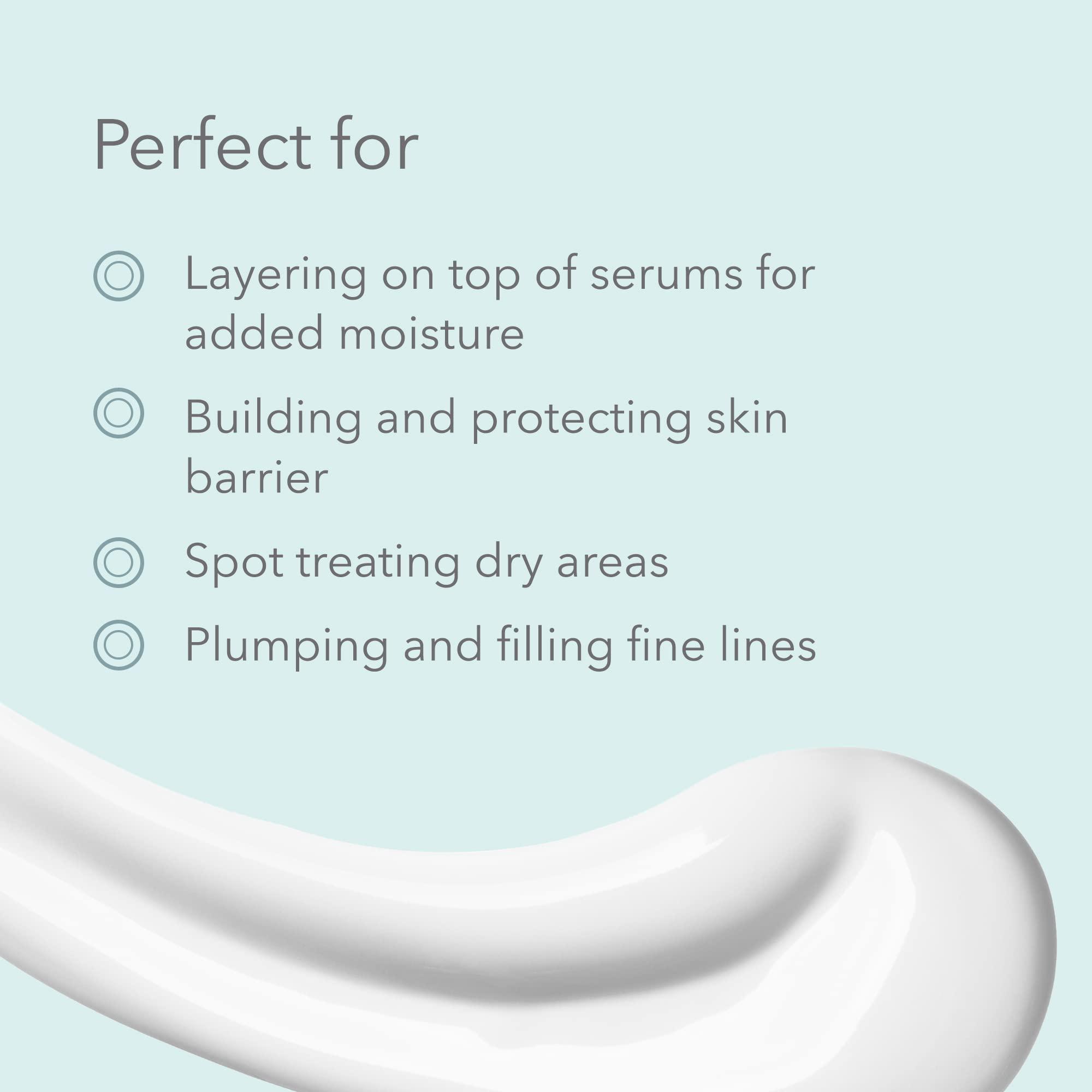 January Labs January Labs Moisture Renew Face Cream, Day or Night Face Moisturizer Cream for Dehydrated & Stressed Skin, Skin Care Essentials, 2.5 Oz