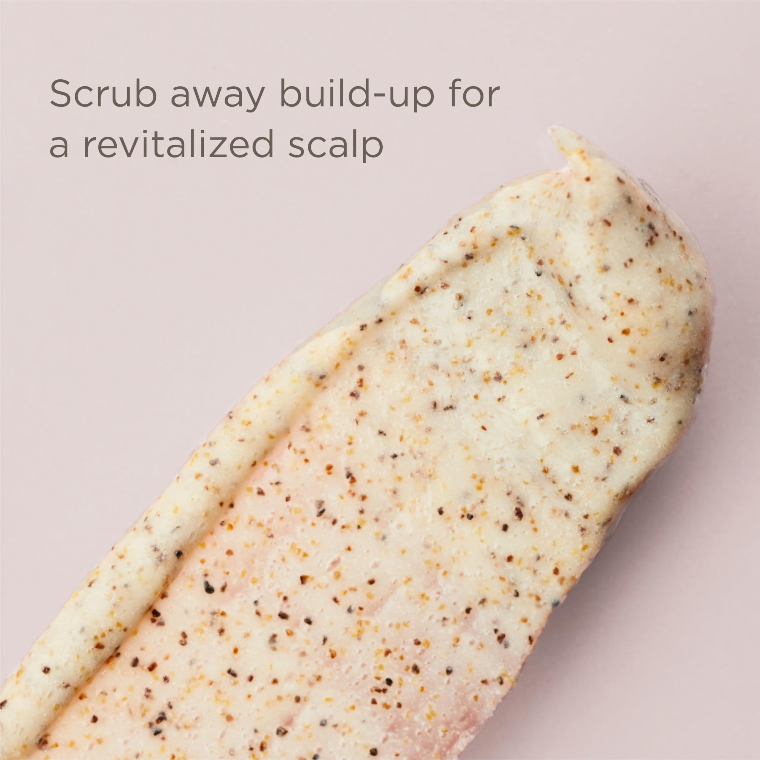 Hairitage Hairitage Restart Button Scalp Exfoliator for Dry and Sensitive Scalp - Promote Scalp Health - Clarifying Scalp Scrub for Healthier and Stronger Hair