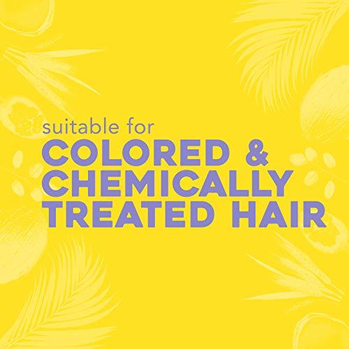 OGX OGX Purifying + Charcoal Detox Dry Shampoo Spray with Activated Charcoal & Kaolin Clay for Fresh Full Hair, Dry Shampoo to Absorb Excess Oil & Revive Dull Second-Day Hair, 5 Ounce