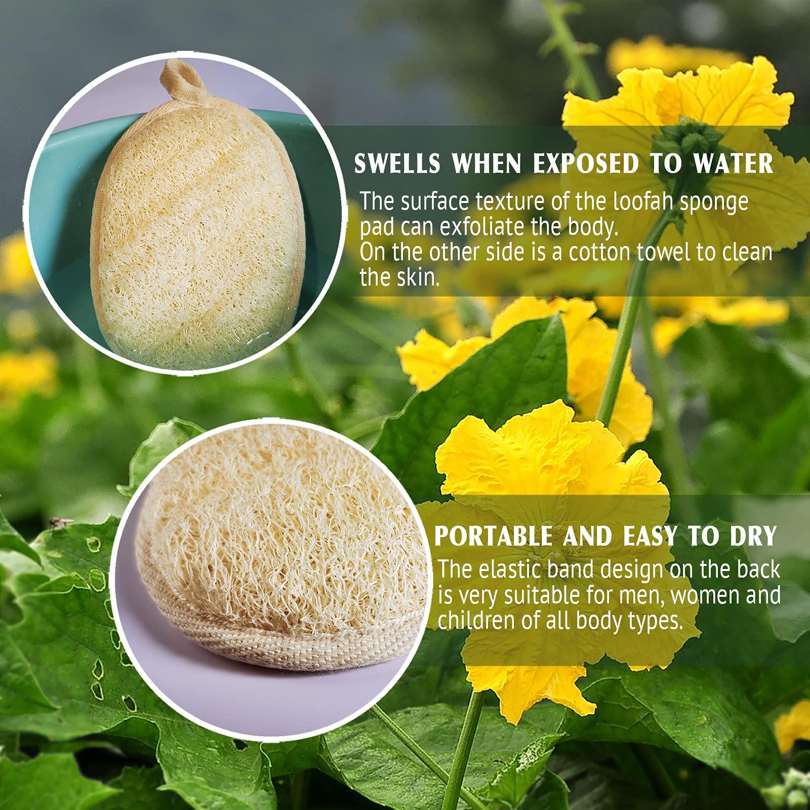 YIQINGJIE Natural Loofah Sponge Exfoliating(4 Packs),Made with Eco-Friendly and Biodegradable Shower Luffa Sponge, Loofah for Women and Men, Brown