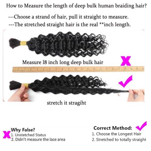 VANTELUVE Deep Wave Bulk Human Hair for Braiding 18 inches Deep Bulk Human Hair for Braiding no Weft 95g 2 Bundles Virgin Human Hair Extensions Bulk Curly Human Hair for Boho Braids Natural Black