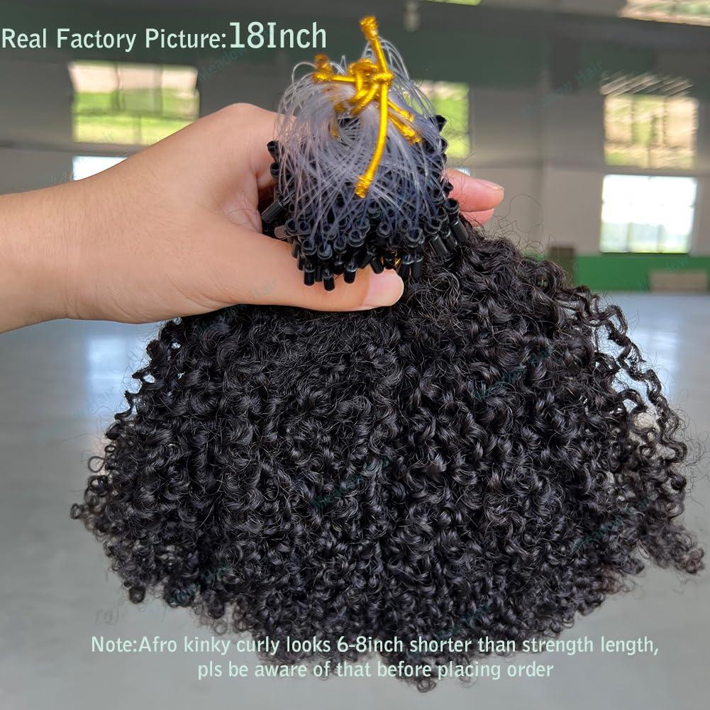 Meadow hair Afro Kinky Curly Micro Link Human Hair Extensions Brazilian Virgin Micro Links Hair Extensions 100 Strand Micro Loop Real Human Hair Extensions For Black Women 80G 16Inch