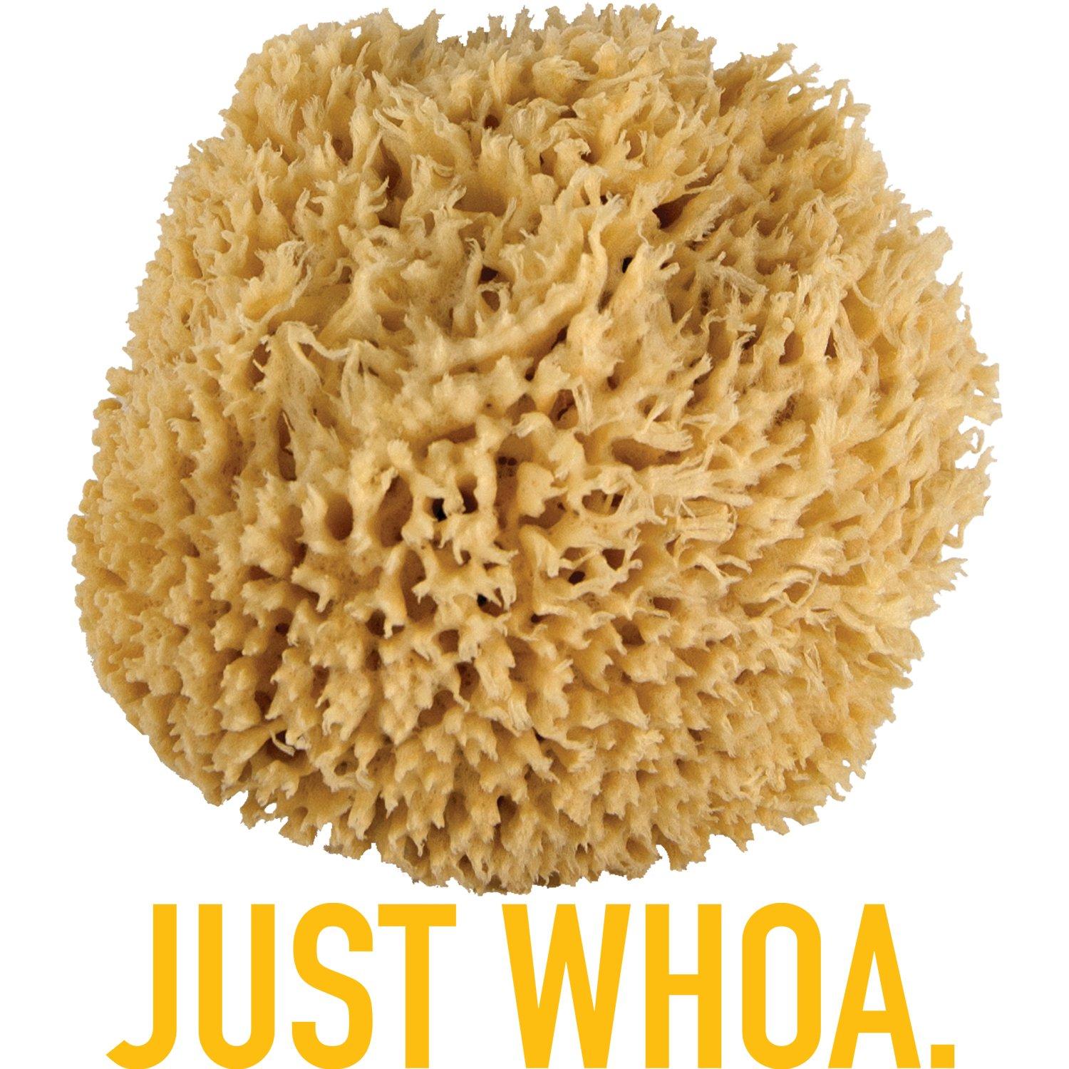 Jade & Pearl JUST Whoa. Ultra Soft & Really Big \"Sea Wool\" Bath Sponge