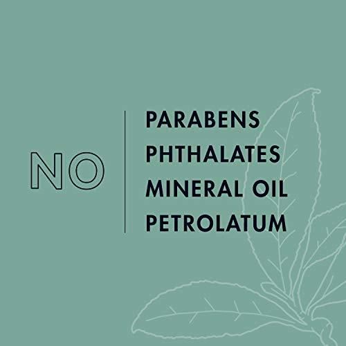 SheaMoisture SheaMoisture Residue Remover Shampoo for Synthetic and Natural Hair, Tea Tree and Borage Seed, Sulfate Free Clarifying Shampoo, 13 Ounce