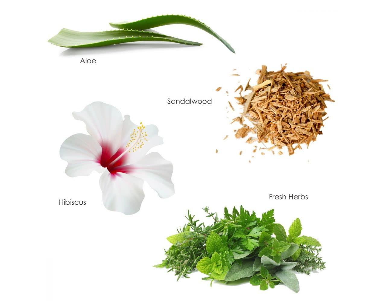 Gilchrist & Soames Gilchrist & Soames Zero% Unisex Shower Gel and Body Wash - 1 Gallon - Light and fresh, Gently Cleansing, Zero Parabens, Sulfates, and Phthalates