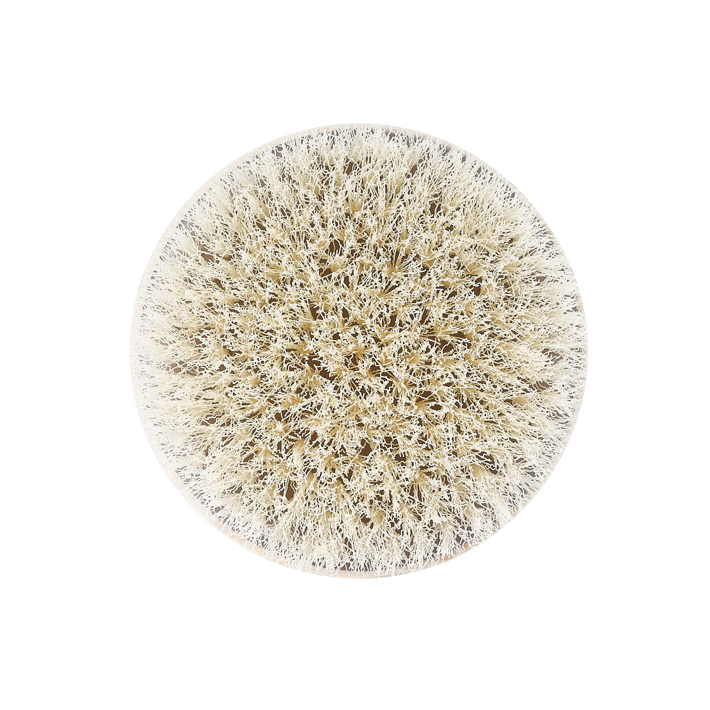 EcoTools EcoTools Dry Body Brush, for Post Shower & Bath Skincare Routine, Removes Dirt & Promotes Blood Circulation, Helps Reduce Appearance of Cellulite, Eco-Friendly, Vegan & Cruelty-Free, 1 Count