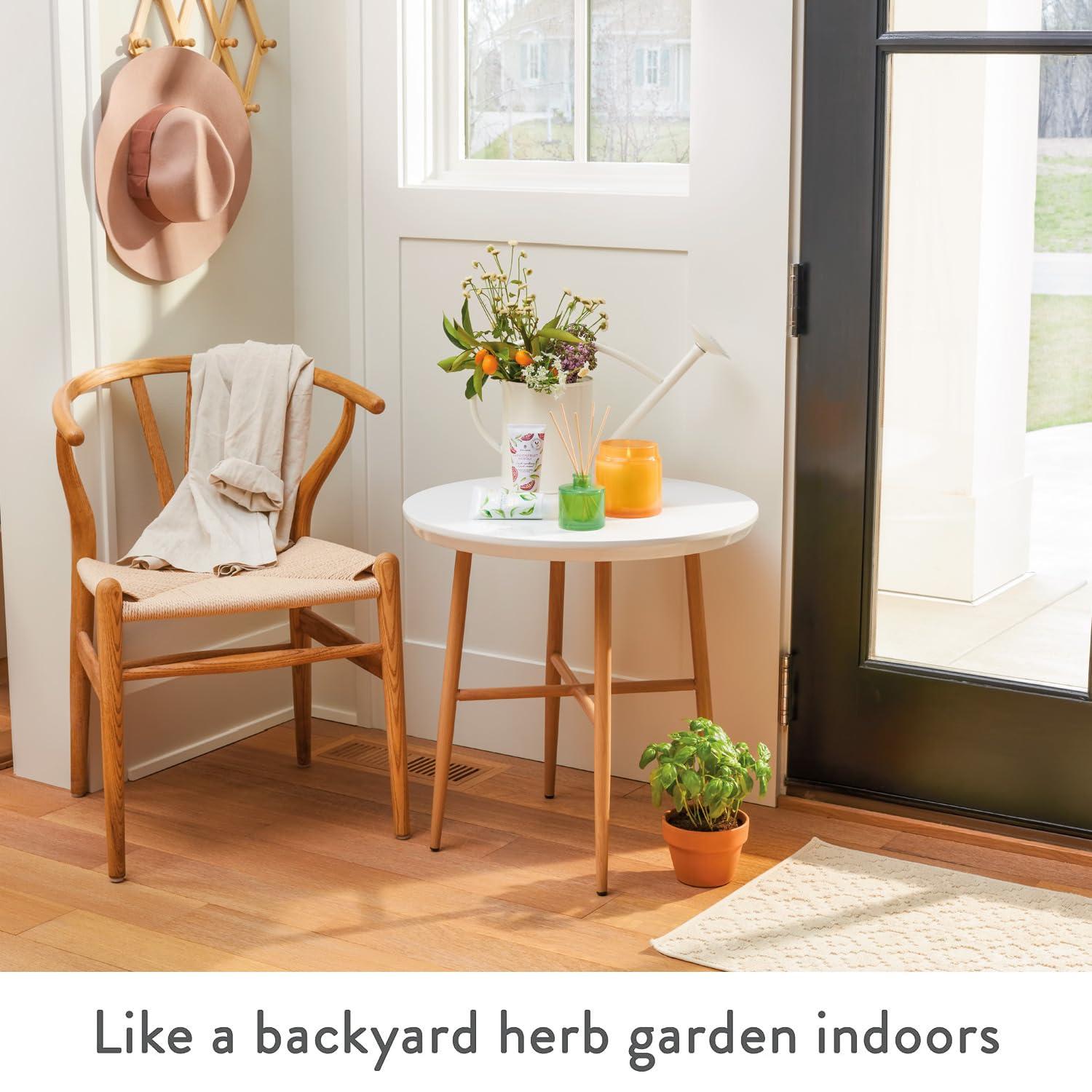 Thymes Thymes Moisturizing Hand Lotion for Dry Skin - Moisturizer for Beauty and Personal Care - Luxury Hand Lotion for Women & Men with Shea Butter & Aloe Vera (Fresh-Cut Basil, 9 fl oz)