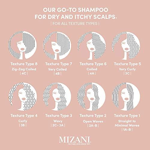 MIZANI MIZANI Scalp Care Dandruff Shampoo | Pyrithione Zinc | Cleanses Hair & Scalp | For Curly Hair | 16.9 Fl Oz