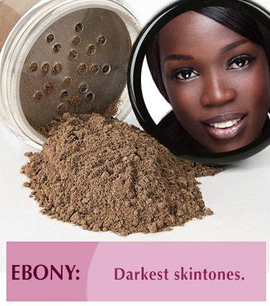 Sweet Face Minerals TRIO WITH BRUSHES (EBONY) Full Size Kit Mineral Makeup Brush Set Foundation Concealer Blush Bare Face Sheer Powder Cover