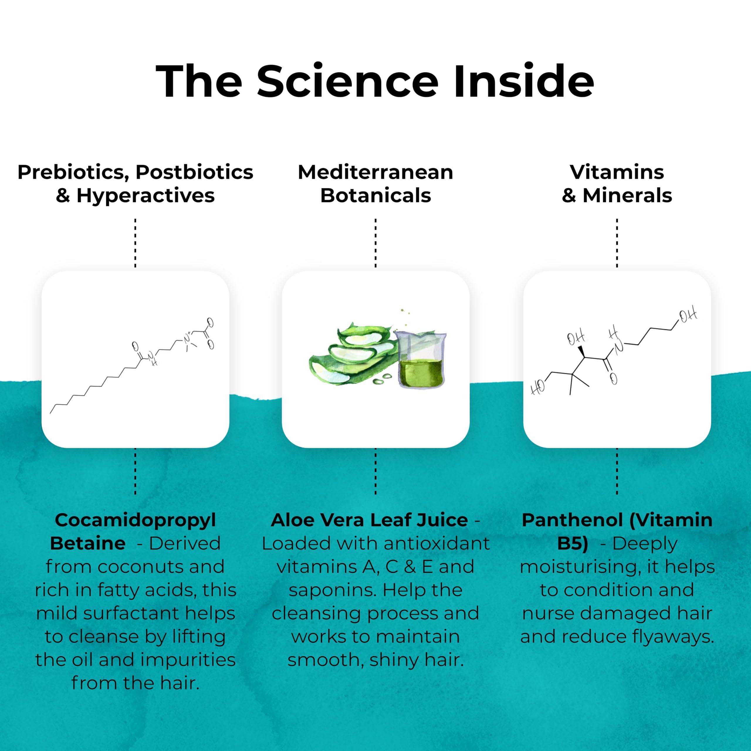 TEMPLESPA TEMPLESPA | GOOD HAIR DAY | Luxury Hair Shampoo for Smooth and Healthy Looking Hair Natural Ingredients, Free from Parabens, Phthalates and Sulphates, Cruelty-Free, Vegan 5.0 fl.oz.