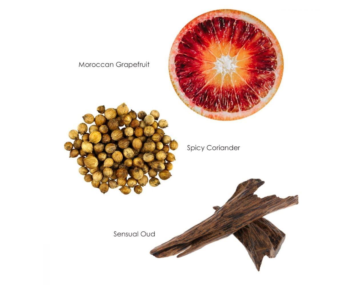 Gilchrist & Soames Gilchrist & Soames Warm Oak Shampoo - 9oz - Promotes Strong and Healthy Hair, All Hair Types, Zero Parabens, Sulfates, and Phthalates