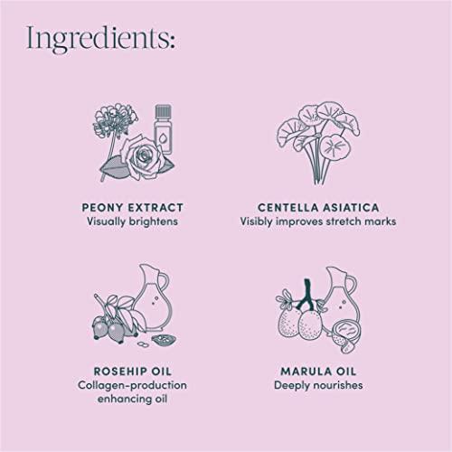 Evereden Evereden Golden Body Serum 3.4 fl. oz. & Petit Bouquet Belly Serum, 1.7 fl oz. | Clean & Vegan Women\'s Belly Oil for Pregnancy and Postpartum Maternity Skincare | Non-Toxic Ingredients