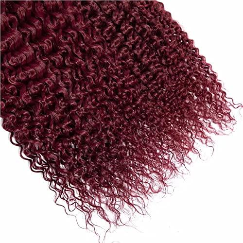FEEL ME FEEL ME Ombre Curly Weave Human Hair Bundles Premium Brazilian Curly Virgin Hair 3 Bundles Ombre 1b/99j Burgundy Brazilian Deep Curly Hair Bundles(18 20 22)