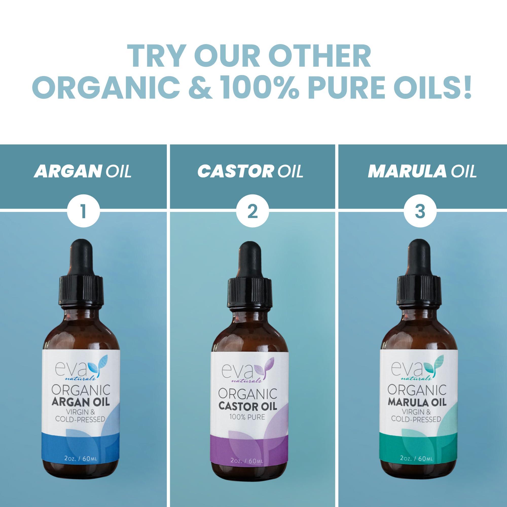 Eva Naturals Pure Rosehip Seed Oil (2 Fl Oz)- Rosehip Oil for Face Aids Stretch Mark and Scar Removal - Facial Oil Reduces Inflammation, Collagen for Radiant Skin - Face Oil - Best Rose Hip Oil for Face