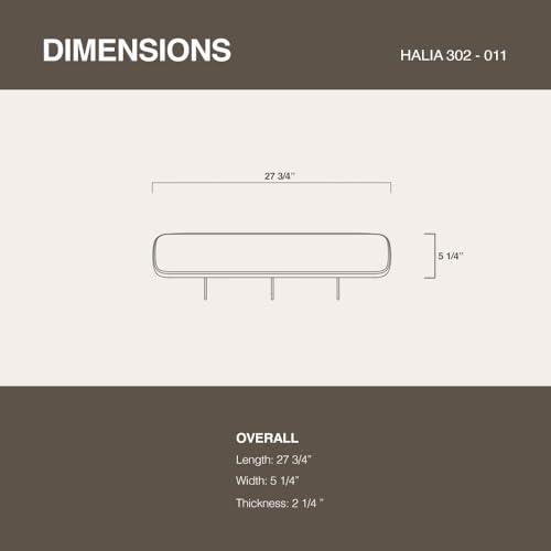 DR.LOMILOMI DR.LOMILOMI Massage Table Foldable Side Arm Extenders with Carry Case for Halia 302 Mobile Massage Table, Adds 10.5 to Table Width (A Set of 2) (Black)