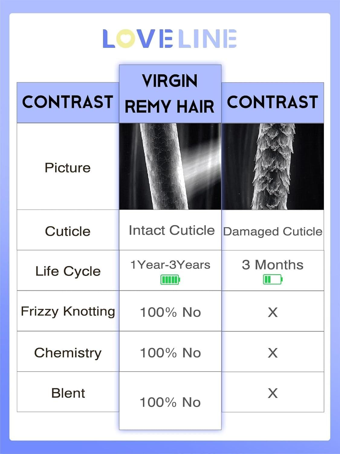 Loveline Loveline Clip In Hair Extensions 22 Inch Human Hair Clip in Real Human Hair Extension for Women Jet Black 120g 7 Pieces Per Set