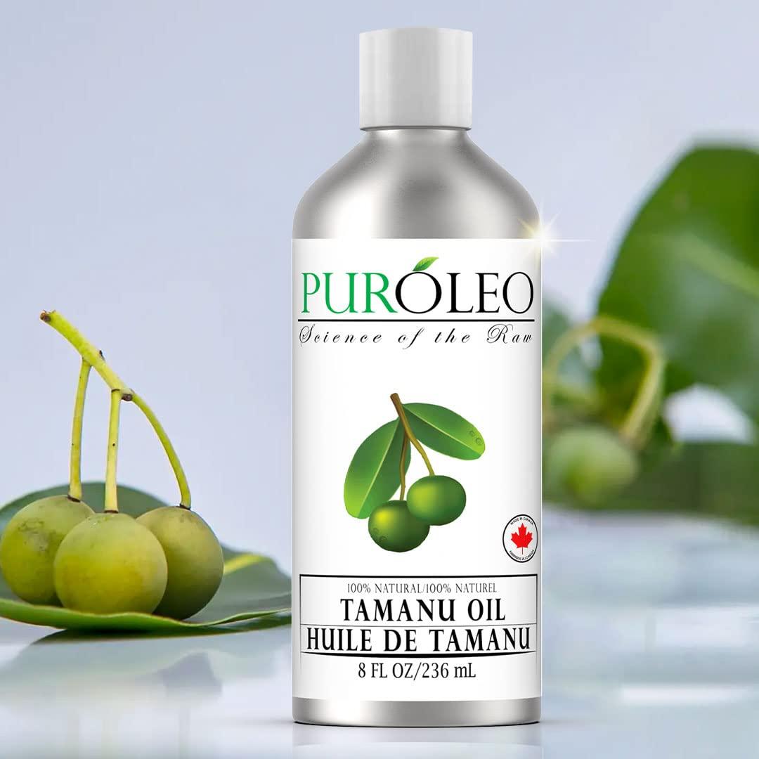 PURLEO PUROLEO Tamanu Oil 8 Fl Oz/236 ML (Packed In Canada) 100% Pure Certified | Natural Cold Pressed Unrefined Oil for Hair & Face Premium packaging with Eye Dropper tamanu oil for face skin virgin