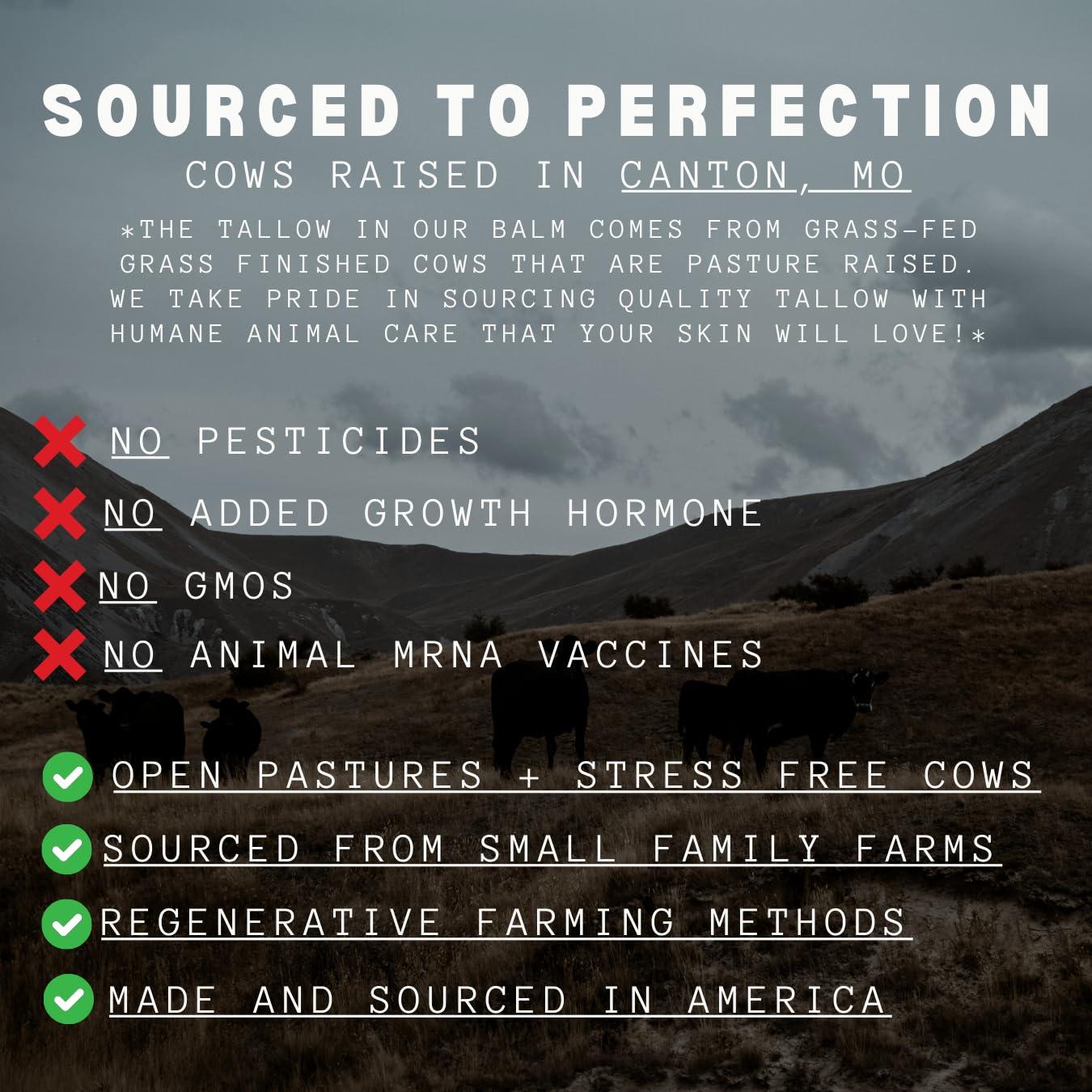 Generic Beef Tallow Honey Balm - Grass-Fed Organic Face Cream with Honey & Olive Oil, for Eczema, Rosacea, Baby, Acne (2 oz)