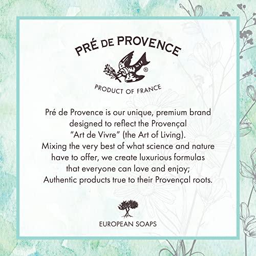 Pre de Provence Pre de Provence Artisanal Soap Bar, Natural French Skincare, Enriched with Organic Shea Butter, Quad Milled for Rich, Smooth & Moisturizing Lather, Raspberry, 5.3 Ounce