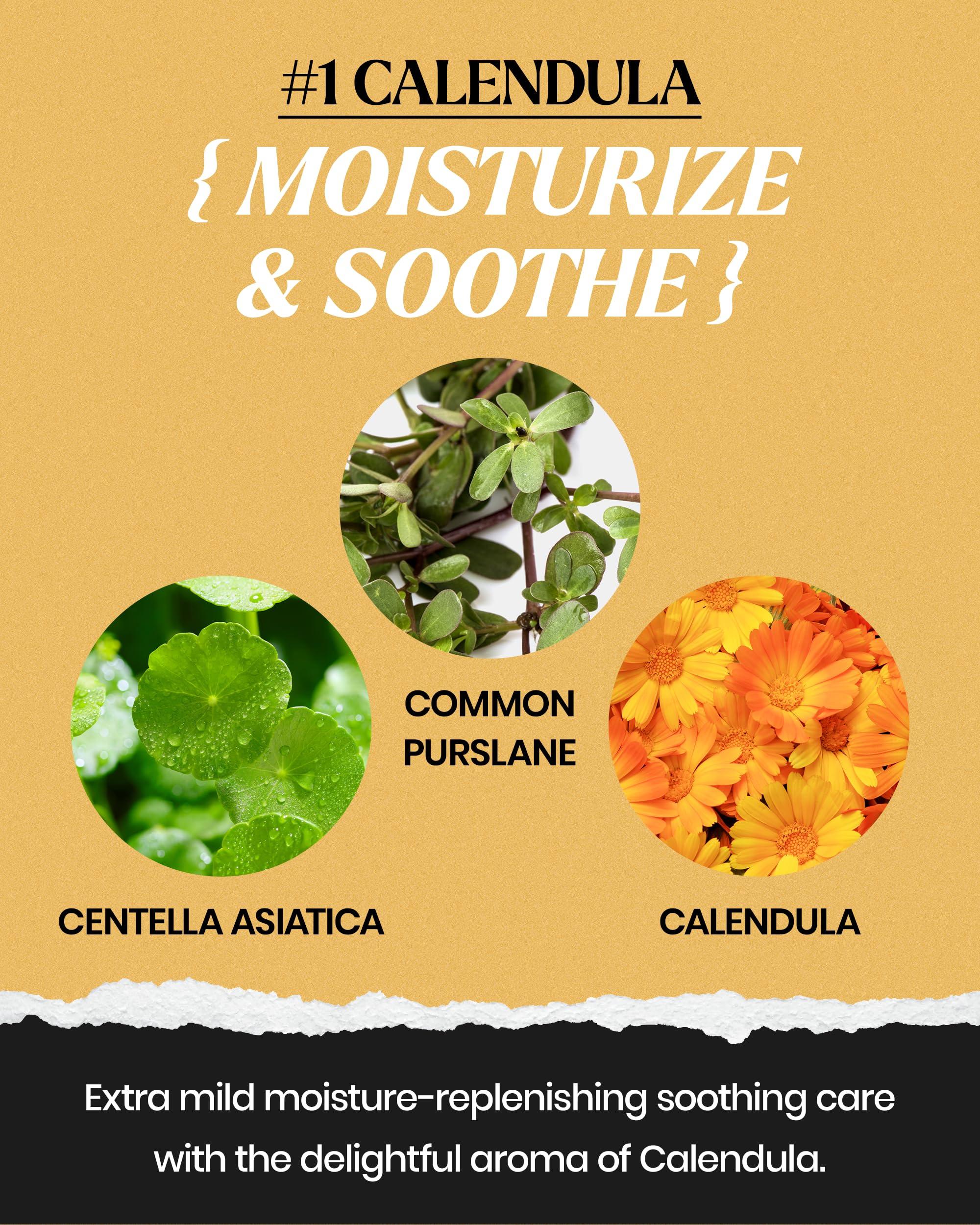 LINDSAY HOME AESTHETICS LINDSAY Premium Modeling Pack w/Tool Set (Bowl, Spatula, Measuring Spoon) - Korean Skin Care Calendula Modeling Mask - Moisturizing and Soothing Mask Spa Facial Peel-off Mask (Calendula, 2.2 lbs)