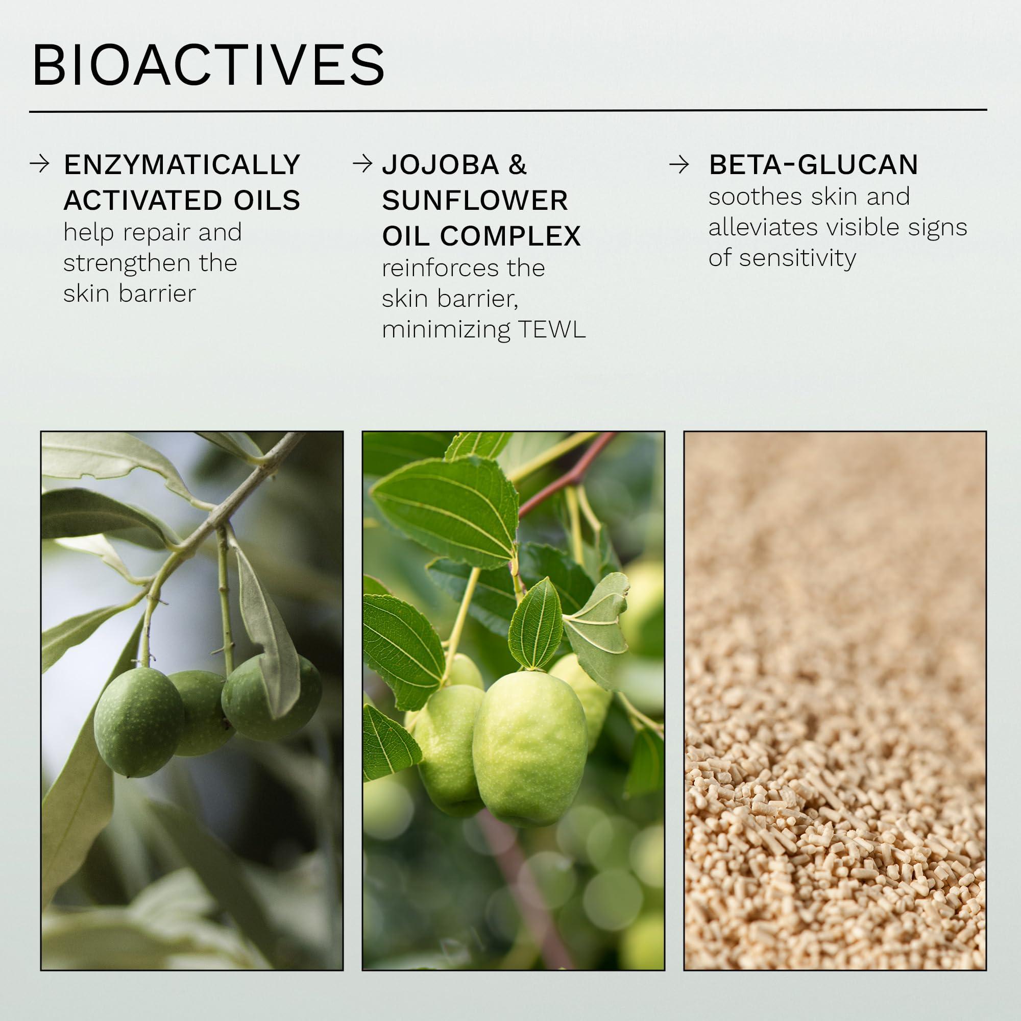 REN Clean Skincare REN Clean Skincare Nighttime Facial Moisturizer - Evercalm Overnight Recovery Balm for Face and Body Provides Skin Barrier Protection to Repair Rosacea, Redness and Irritation for Sensitive Skin