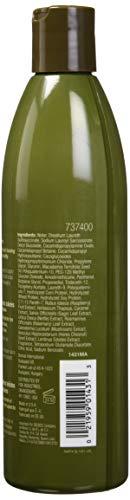 Hair Chemist Hair Chemist Macadamia Revitalizing Shampoo 10 Ounce