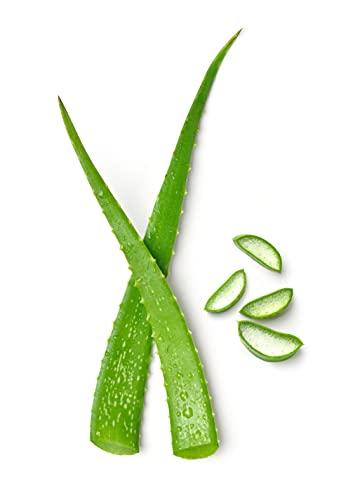 RIVAGE NATURAL DEAD SEA MINERALS (& DESIGN) RIVAGE NATURAL DEAD SEA MINERALS Glowing PEEL OFF MASK ENHANCED with DEAD SEA MINERALS and CHAMOMILE and ALOE VERA EXTRACTS VEGAN FRIENDLY, NO ANIMAL TESTING, NO HARSH CHEMICALS