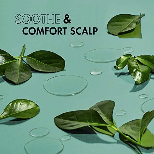 SheaMoisture SheaMoisture Scalp Soother Oil Serum for Wig and Weave Tea Tree and Borage Seed Oil Paraben Free Scalp Treatment, 2 Ounce