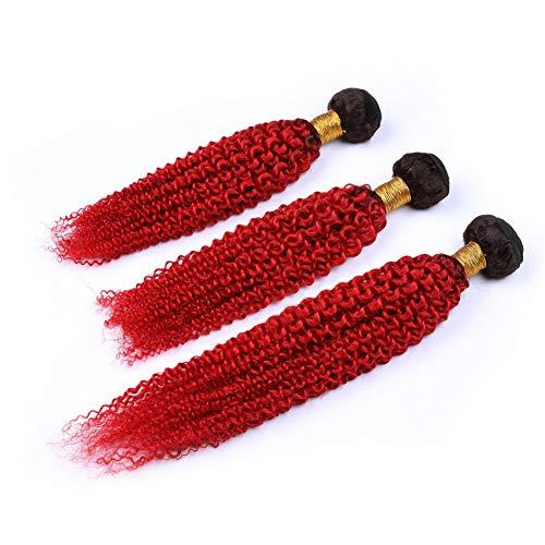 Tony beauty hair Tony Beauty Hair Kinky Curly Virgin Brazilian Human Hair Red Ombre Weave Bundles 3Pcs with 13x4 Free Part Frontal Closure 4Pcs Lot #1B/Red Ombre Hair Wefts with Lace Frontal (22 24 26+20)