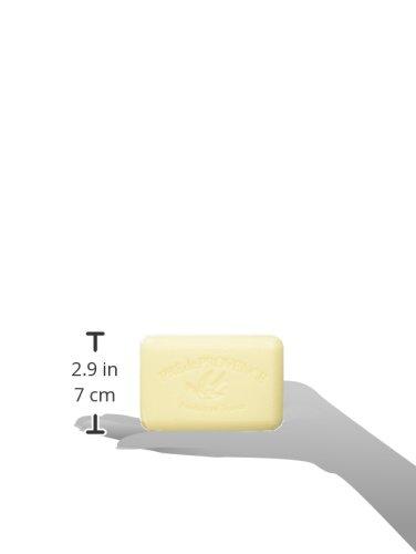 Pre de Provence Pre de Provence Artisanal Soap Bar, Enriched with Organic Shea Butter, Natural French Skincare, Quad Milled for Rich Smooth Lather, Agrumes, 8.8 Ounce