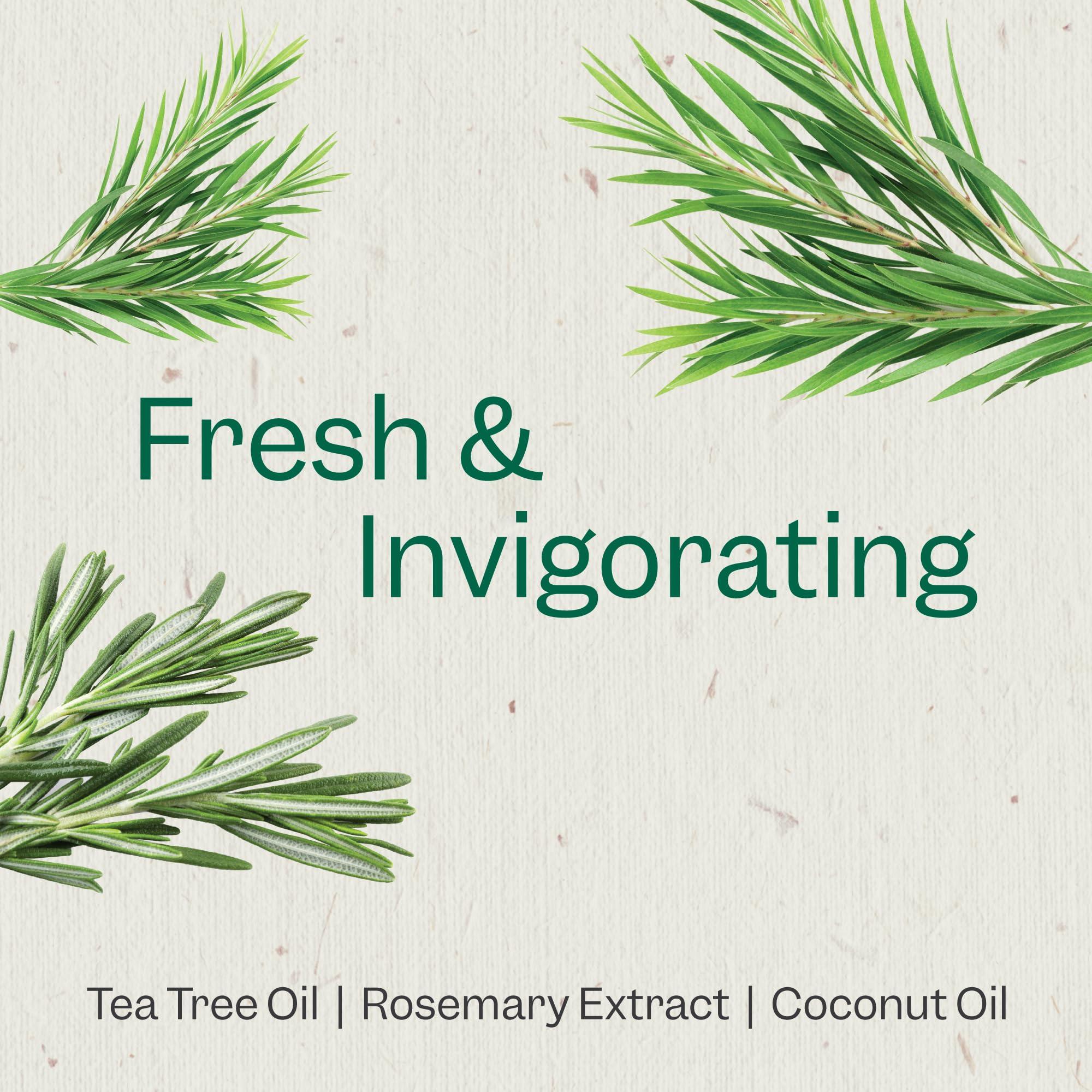 RENPURE Renpure Tea Tree & Rosemary Shampoo & Conditioner Set, Plant Based - Refreshes & Rebalances Hair and Scalp - For Oily/Normal Hair - Tea Tree Leaf Oil, Rosemary Leaf Extract - 24 Fl Oz each, 2 Pack